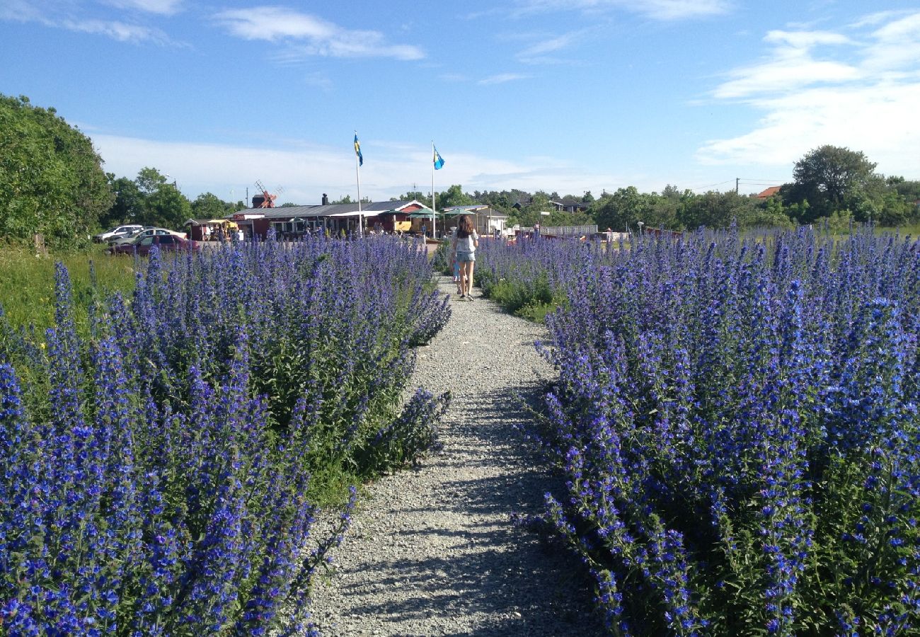 Stuga i Borgholm - Skomakartorpet