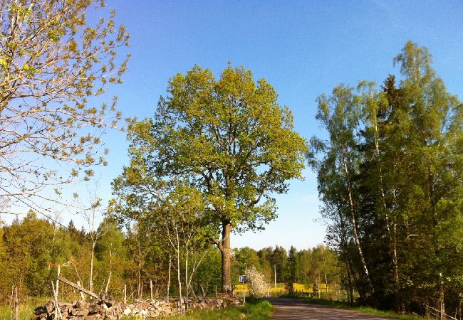 Stuga i Fagerhult - Röd liten stuga i ljuvligaste Småland Stuga i Fagerhult - Röd liten stuga i ljuvligaste Småland