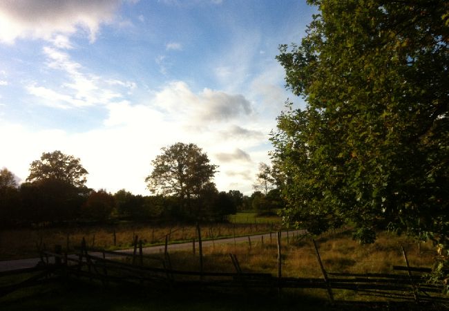 Stuga i Fagerhult - Röd liten stuga i ljuvligaste Småland Stuga i Fagerhult - Röd liten stuga i ljuvligaste Småland