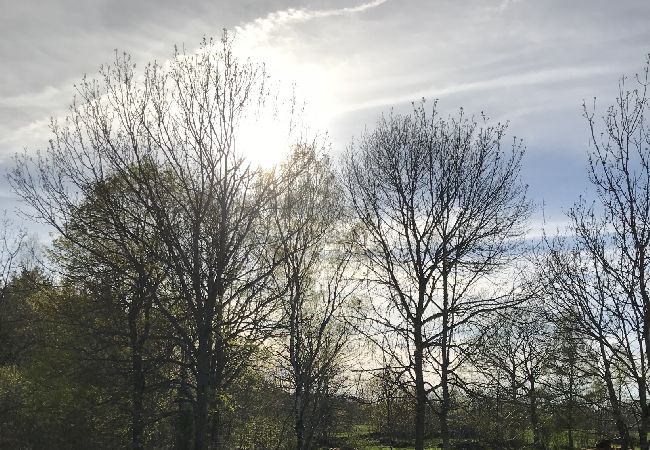 Stuga i Fagerhult - Röd liten stuga i ljuvligaste Småland Stuga i Fagerhult - Röd liten stuga i ljuvligaste Småland