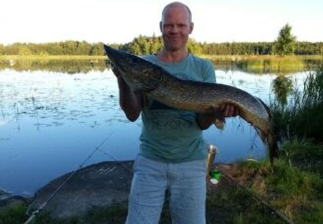 Stuga i Björklinge - Stuga direkt vid sjön Stuga i Björklinge - Stuga direkt vid sjön