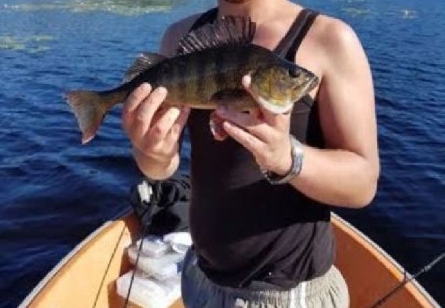 Stuga i Björklinge - Stuga direkt vid sjön Stuga i Björklinge - Stuga direkt vid sjön