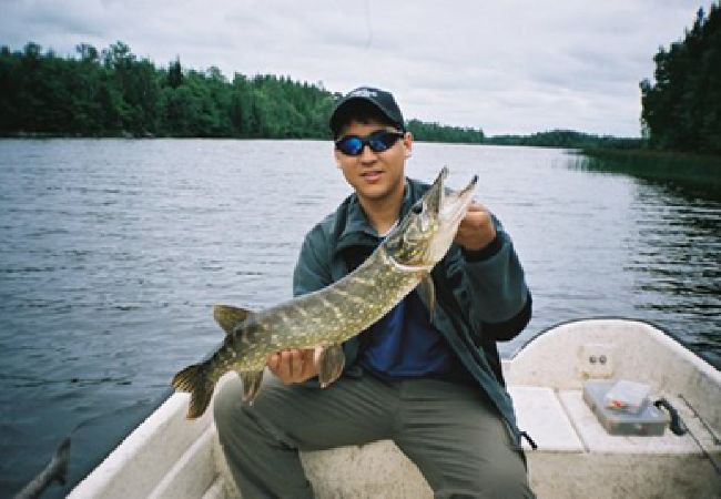Stuga i Vissefjärda - Mysig stuga i de småländska skogarna nära sjön med båt, internet och bastu vid sjön Stuga i Vissefjärda - Mysig stuga i de småländska skogarna nära sjön med båt, internet och bastu vid sjön