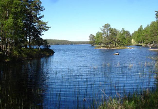 Stuga i Tived - Semester på gård med egen båt