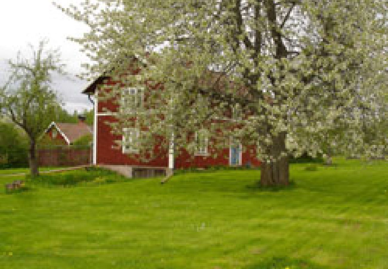 Stuga i Tived - Semester på gård med egen båt