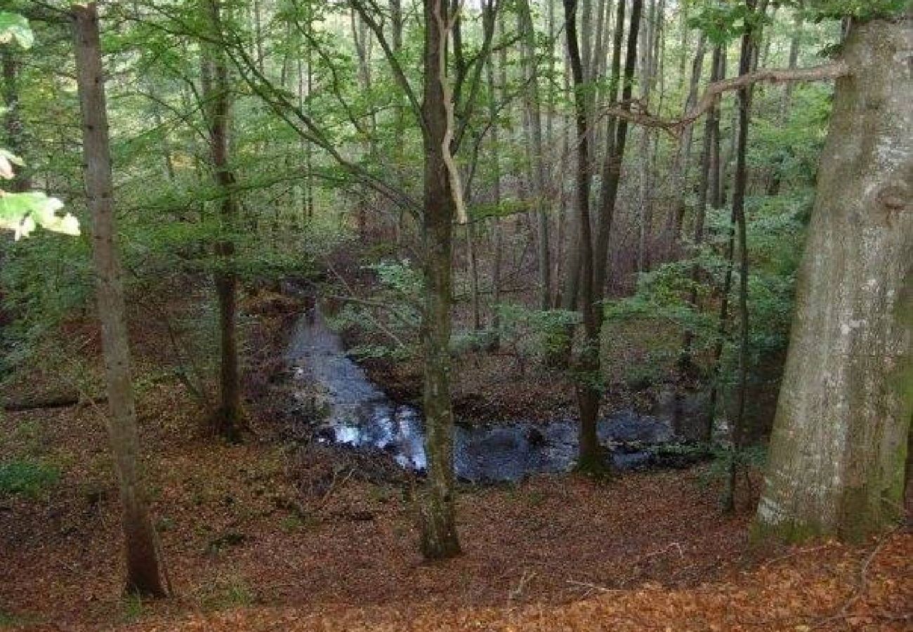 Stuga i Åsljunga - Åsljunga Skogen