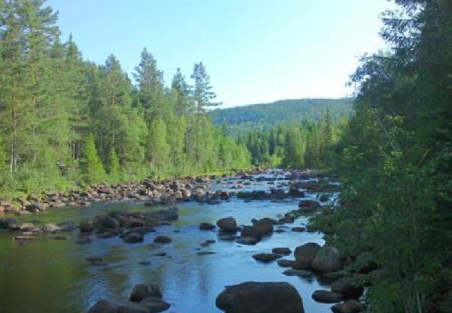 Stuga i Sysslebäck - Vackert fritidshus inte långt från Klarälven och Branäs, året runt boende