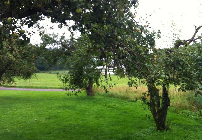 Stuga i Veddige - Stort och sjönära fritidshus i utkanten av skogen  Stuga i Veddige - Stort och sjönära fritidshus i utkanten av skogen