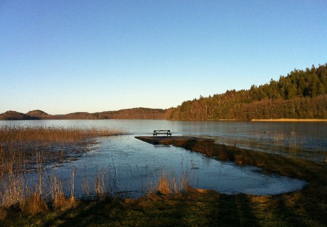 Stuga i Veddige - Stort och sjönära fritidshus i utkanten av skogen  Stuga i Veddige - Stort och sjönära fritidshus i utkanten av skogen