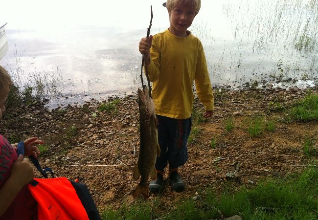 Stuga i Veddige - Stort och sjönära fritidshus i utkanten av skogen  Stuga i Veddige - Stort och sjönära fritidshus i utkanten av skogen