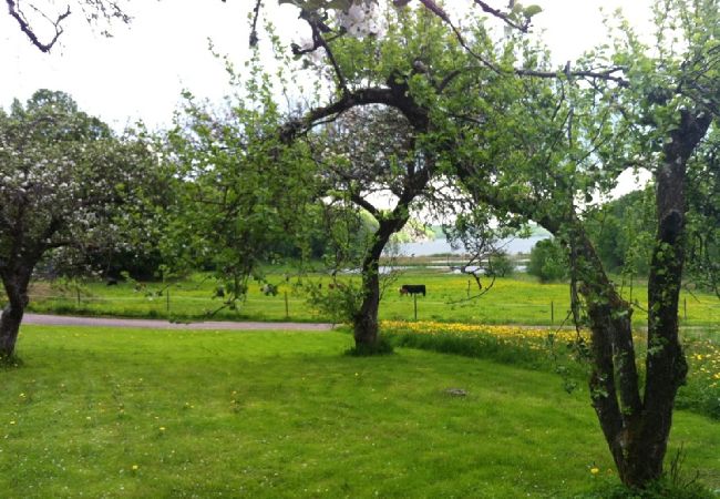 Stuga i Veddige - Stort och sjönära fritidshus i utkanten av skogen  Stuga i Veddige - Stort och sjönära fritidshus i utkanten av skogen