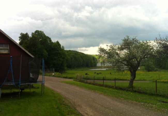 Stuga i Veddige - Stort och sjönära fritidshus i utkanten av skogen  Stuga i Veddige - Stort och sjönära fritidshus i utkanten av skogen