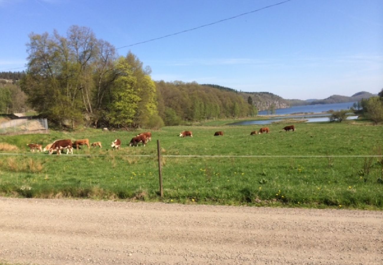 Stuga i Veddige - Stort och sjönära fritidshus i utkanten av skogen 