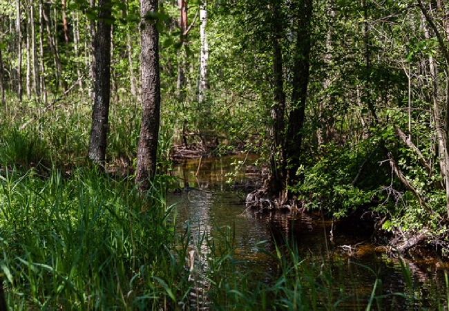 Stuga i Lönneberga - Hemma hos Emil från Lönneberga Stuga i Lönneberga - Hemma hos Emil från Lönneberga