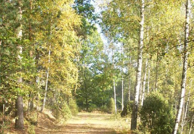 Stuga i Oskarshamn - Rödvit semesterstuga på landsbygden i Småland nära östkusten Stuga i Oskarshamn - Rödvit semesterstuga på landsbygden i Småland nära östkusten