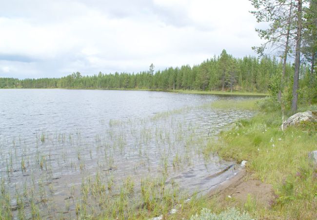 Stuga i Arvidsjaur - Stuga vid sjön i Lappland i avskilt läge Stuga i Arvidsjaur - Stuga vid sjön i Lappland i avskilt läge