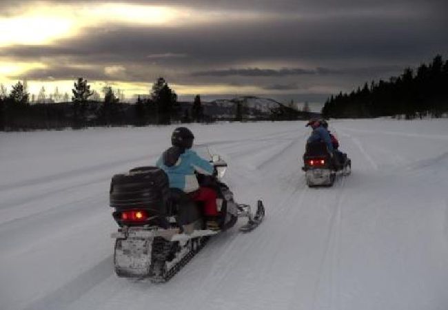 Stuga i Sorsele - Äventyr och avkoppling i Lapplands enastående natur! Stuga i Sorsele - Äventyr och avkoppling i Lapplands enastående natur!