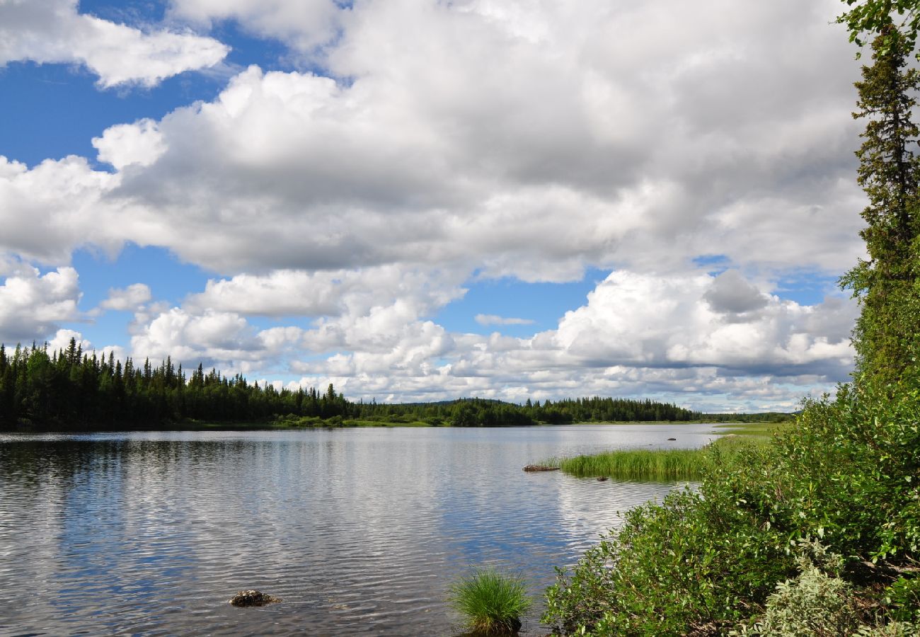 Stuga i Sorsele - Äventyr och avkoppling i Lapplands enastående natur!