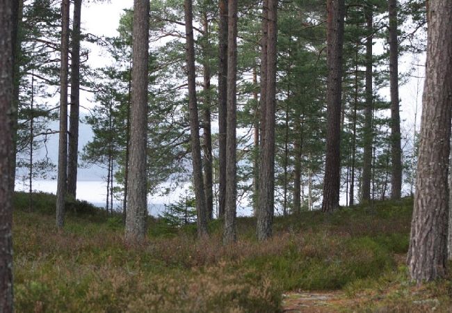 Stuga i Eksjö - Lugnt naturskönt semesterboende med sjöblick