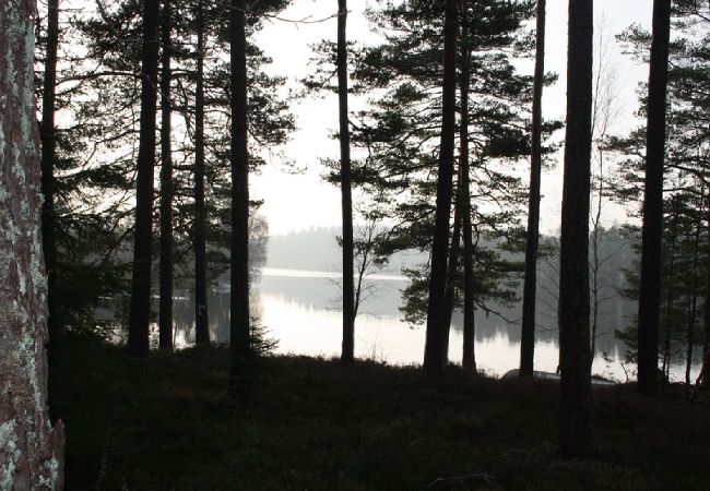Stuga i Eksjö - Lugnt naturskönt semesterboende med sjöblick Stuga i Eksjö - Lugnt naturskönt semesterboende med sjöblick
