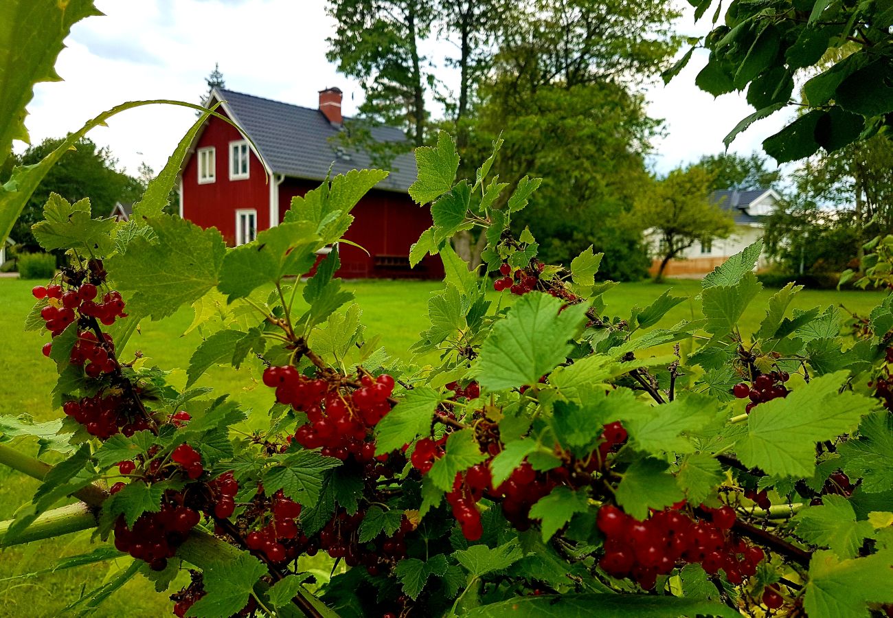 Stuga i Klavreström - Fint fritidshus i Klavreström