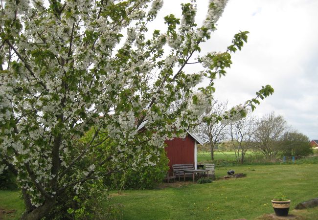 Stuga i Borgholm - Öland mellan väderkvarn och naturreservat Stuga i Borgholm - Öland mellan väderkvarn och naturreservat