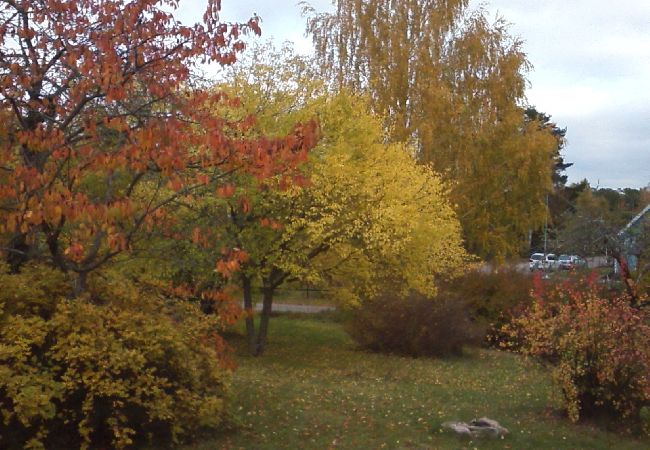 Stuga i Ruda - Mysigt fritidshus i utkanten av skogen nära Högsby Stuga i Ruda - Mysigt fritidshus i utkanten av skogen nära Högsby