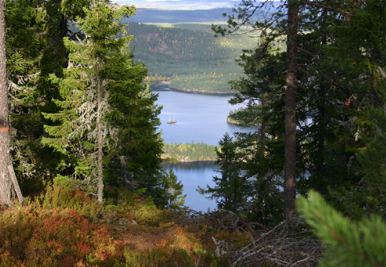 Stuga i Mora - Stuga vid Vasaloppsspåret