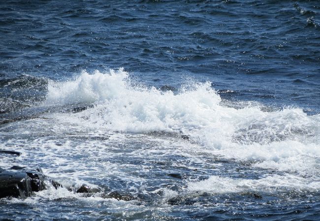 Lägenhet i Dyrön - Havsutsikt Dyrön Lägenhet i Dyrön - Havsutsikt Dyrön