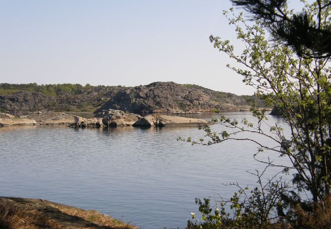 Lägenhet i Dyrön - Havsutsikt Dyrön Lägenhet i Dyrön - Havsutsikt Dyrön