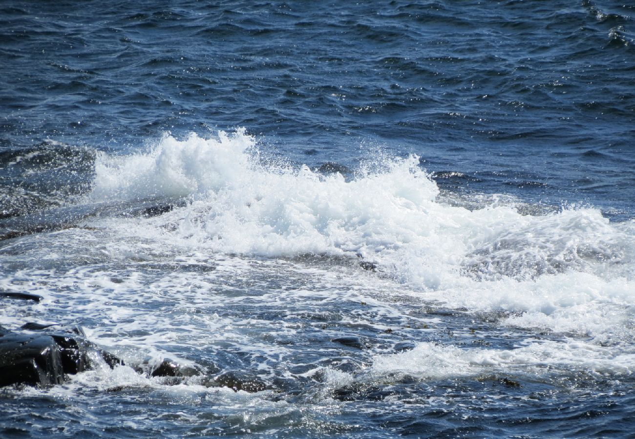 Lägenhet i Dyrön - Havsutsikt Dyrön