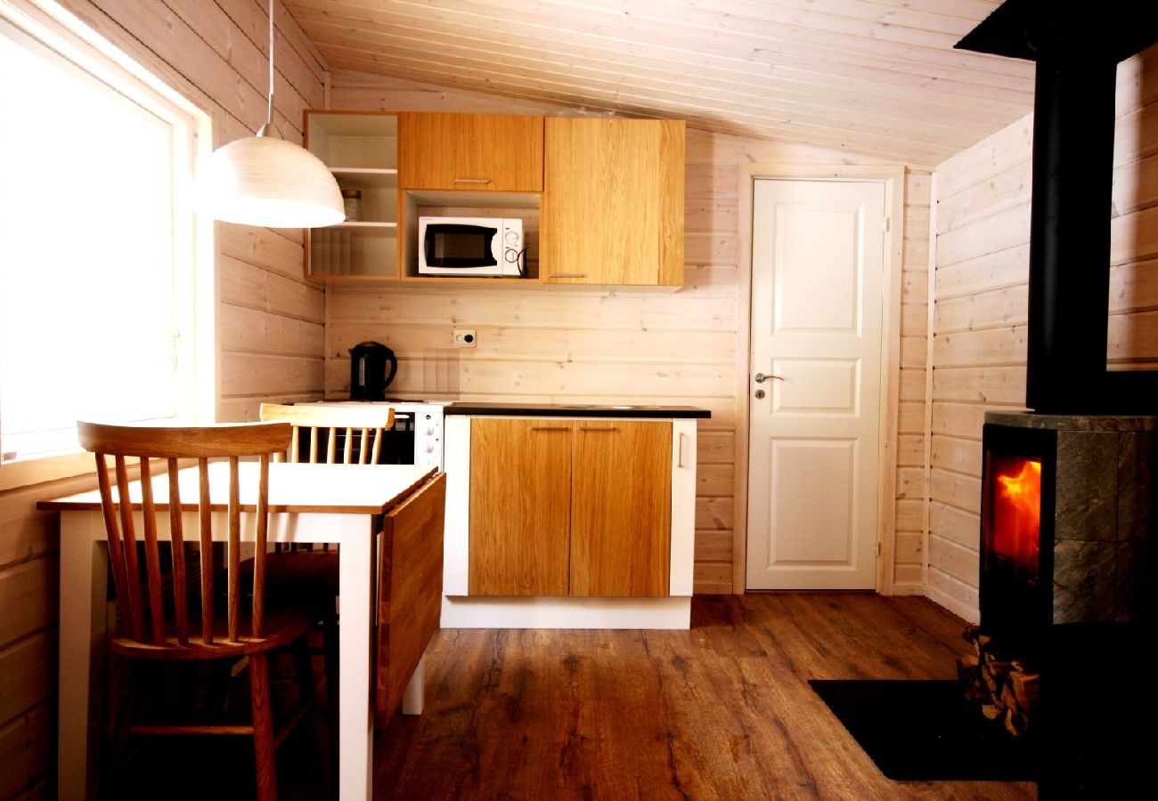 Stuga i Kiruna - Torne river suite