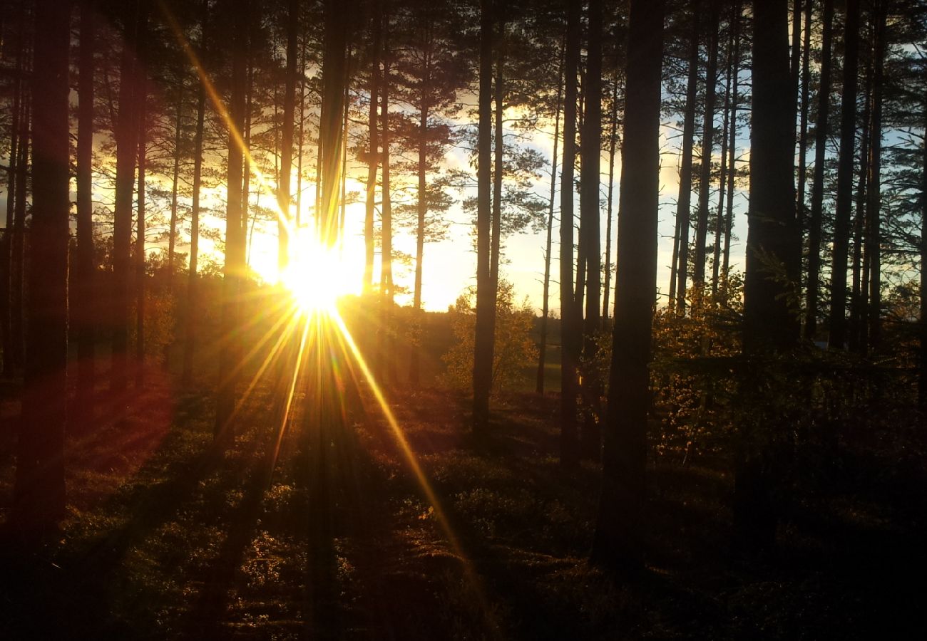 Stuga i Tidaholm - Nävertorp 2