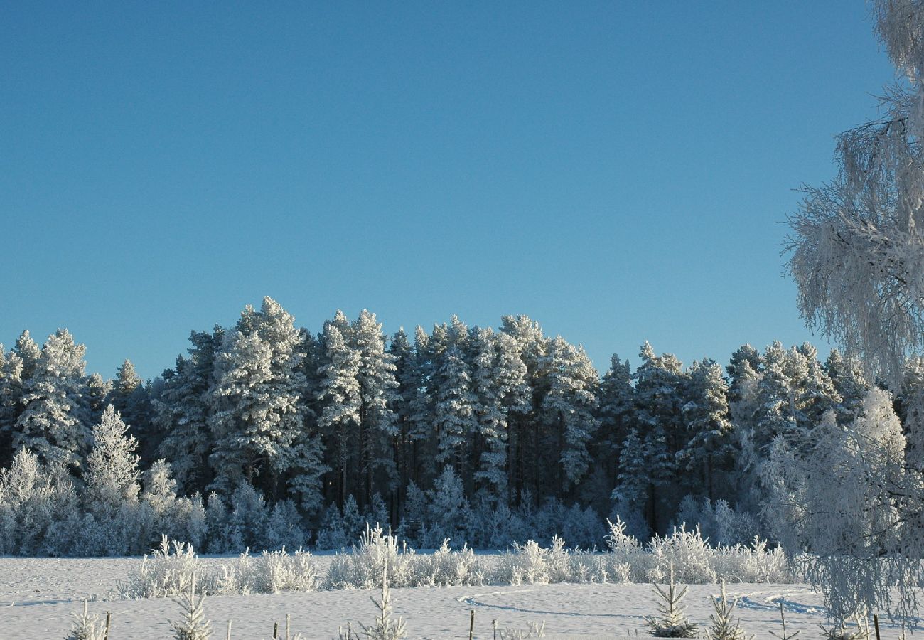 Stuga i Tidaholm - Nävertorp 2