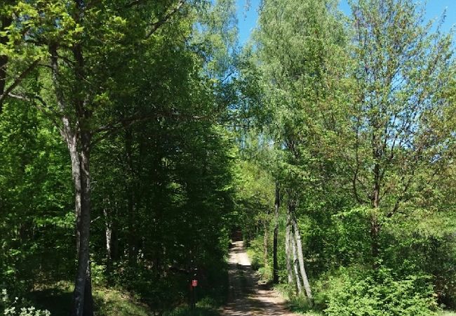 Stuga i Tving - Naturparadis vid en liten sjö i södra Sverige