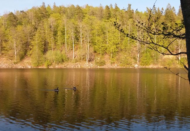 Stuga i Tving - Naturparadis vid en liten sjö i södra Sverige