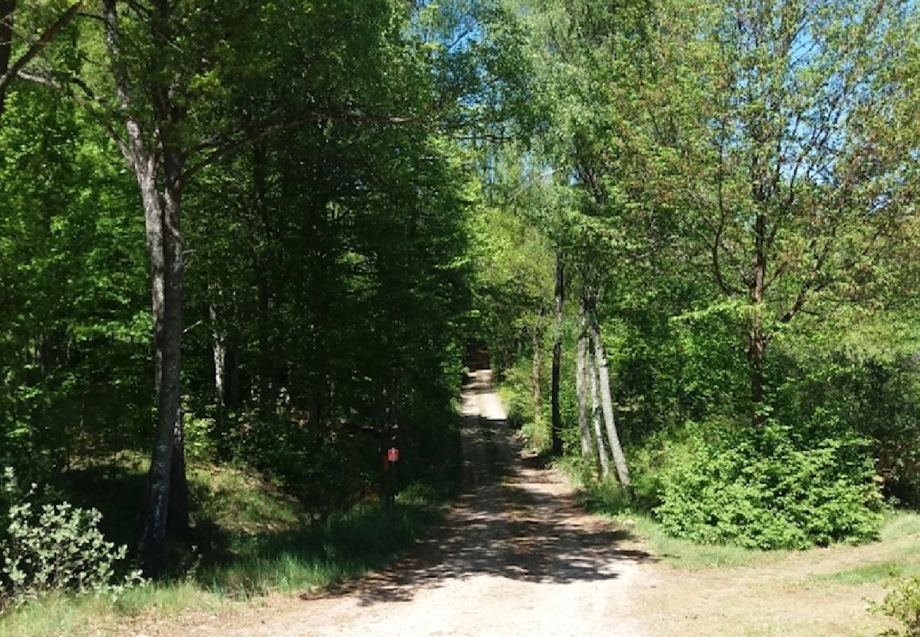 Stuga i Tving - Naturparadis vid en liten sjö i södra Sverige