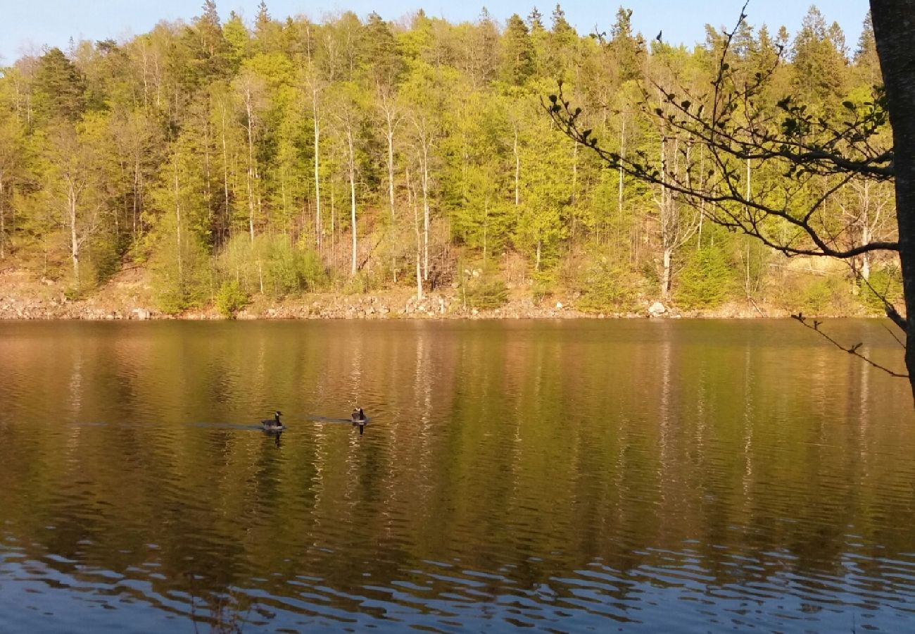 Stuga i Tving - Naturparadis vid en liten sjö i södra Sverige