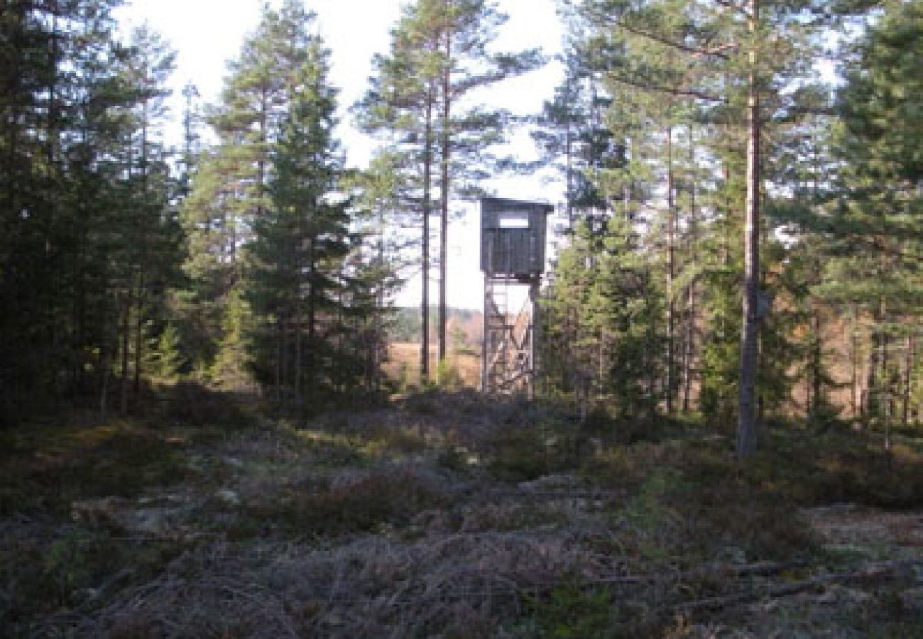 Stuga i Månsarp - Gullberget