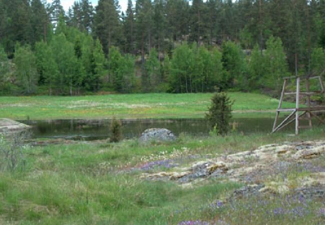 Stuga i Söderköping - Stort fritidshus i St:Anna´s skärgård vid Östersjökusten