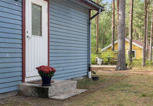 Stuga i Yngsjö - Stuga bara några minuter från en av Skånes vackraste sandstränder Stuga i Yngsjö - Stuga bara några minuter från en av Skånes vackraste sandstränder