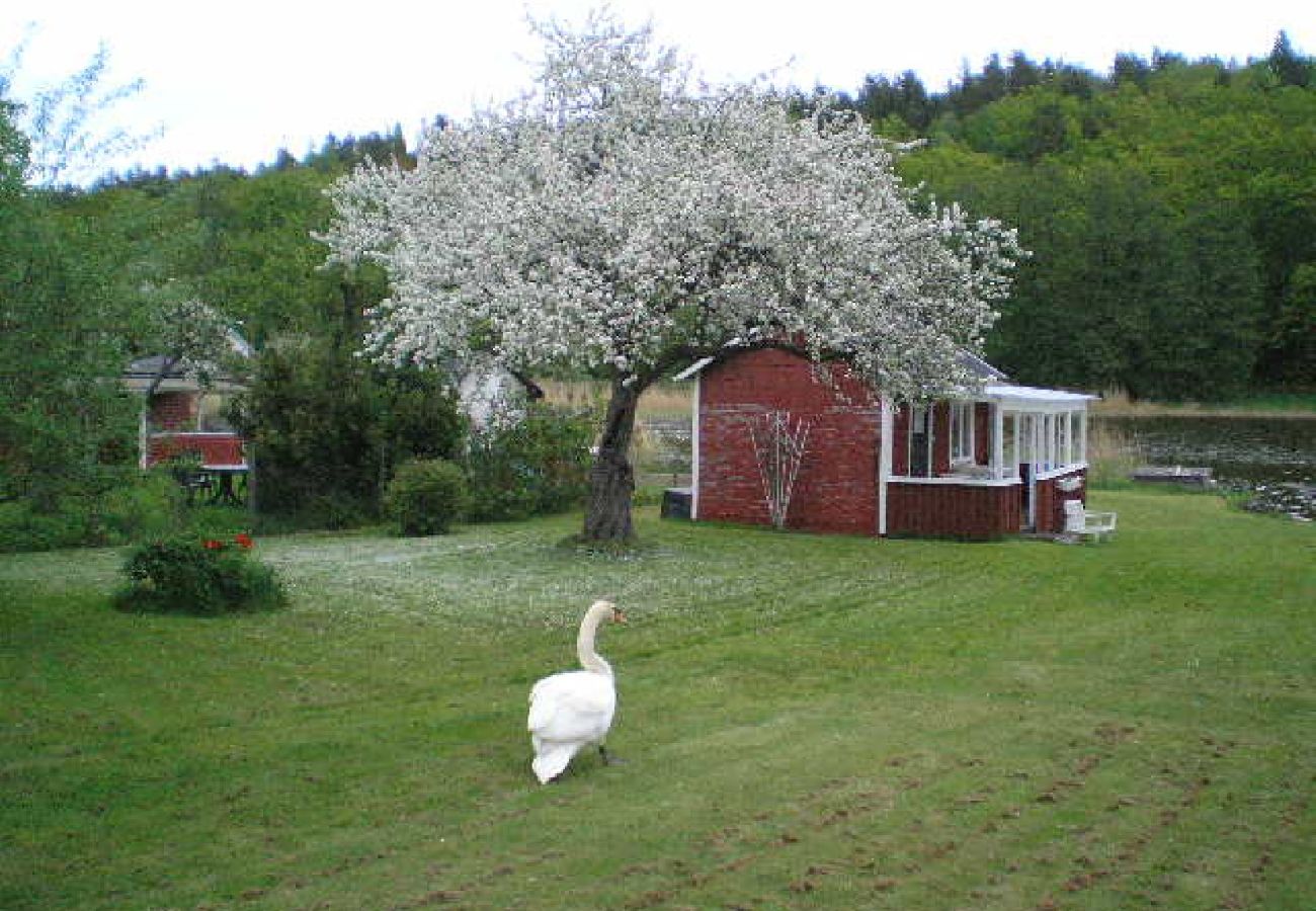 Stuga i Gamleby - Smålandsstuga