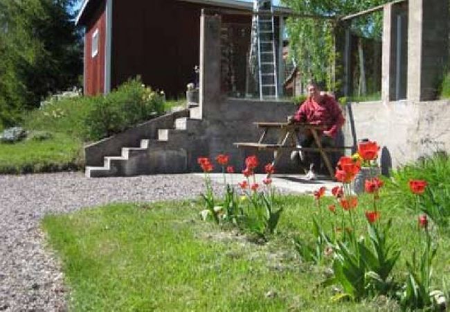 Stuga i Edsbyn - Mysig stuga i Hälsingland med sjöutsikt Stuga i Edsbyn - Mysig stuga i Hälsingland med sjöutsikt