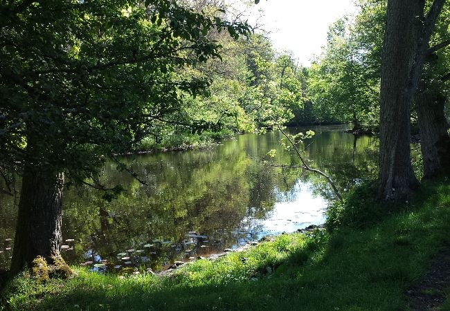Stuga i Ålem - Semester vid havet med massor av utrymme och solterrass Stuga i Ålem - Semester vid havet med massor av utrymme och solterrass