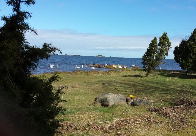 Stuga i Ålem - Semester vid havet med massor av utrymme och solterrass