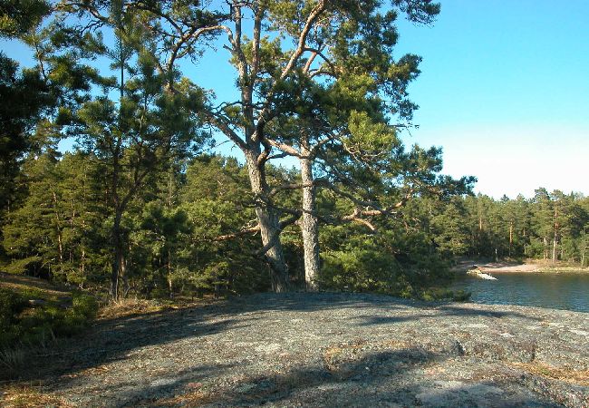 Stuga i Figeholm - Semesterhus i sommaridyll bara 400 meter från Östersjön