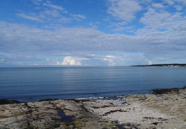 Stuga i Åsa - Stort fritidshus 400 meter från havet Stuga i Åsa - Stort fritidshus 400 meter från havet