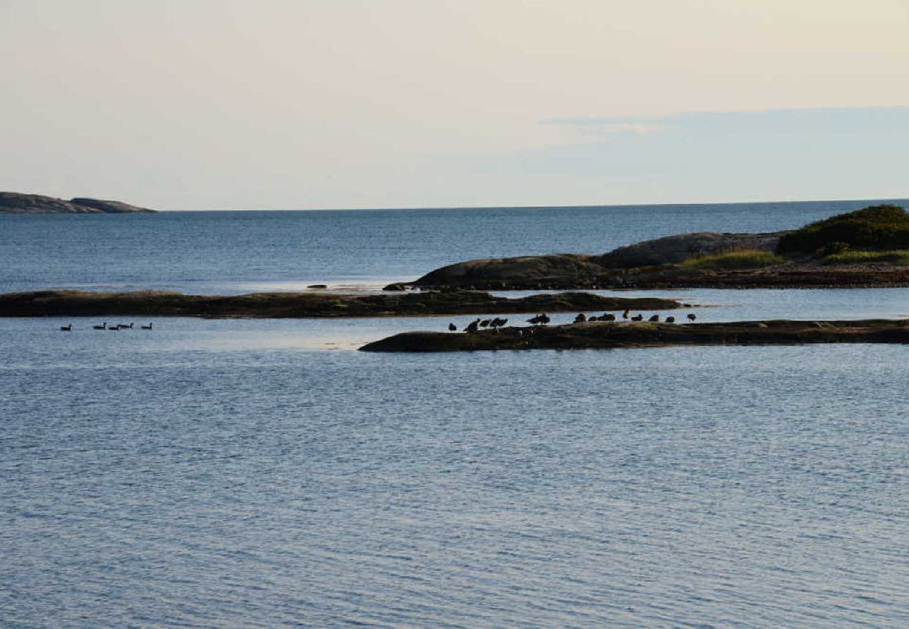 Stuga i Åsa - Stort fritidshus 400 meter från havet