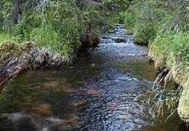 Stuga i Sälen - Mysig skidstuga på Hundsfjället med 3 sovrum, bastu, kamin och internet Stuga i Sälen - Mysig skidstuga på Hundsfjället med 3 sovrum, bastu, kamin och internet