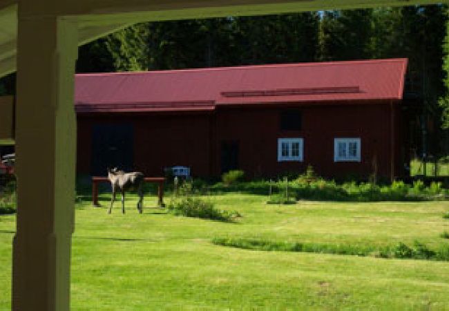Stuga i Hagfors - Semester mitt i Värmlands skogar i avskilt läge